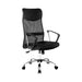 Molly Mesh high back leather office chair